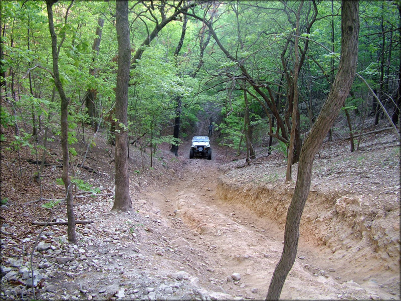 Disney, ok? Trails? Pirate 4x4